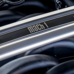 Mustang připravený na okruhy