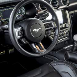 Mustang připravený na okruhy