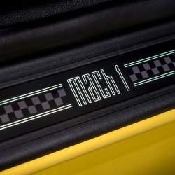 Mustang připravený na okruhy