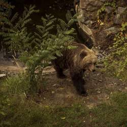 Na cestách po středních Čechách