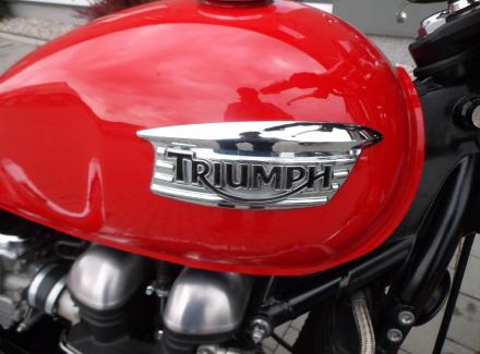 Triumph - Thruxton 900