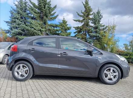Kia - Rio