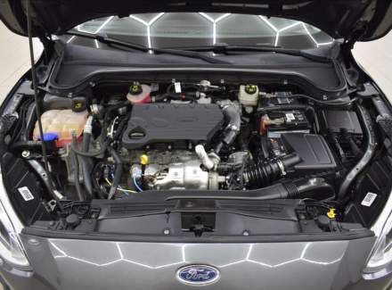 Ford - Focus