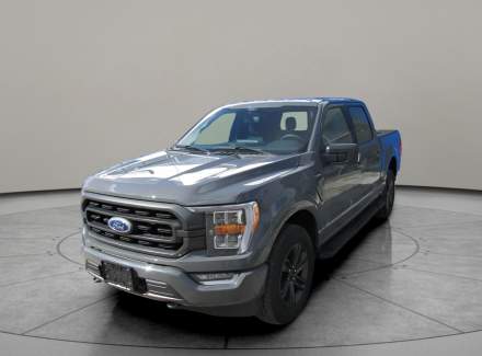 Ford - F-150