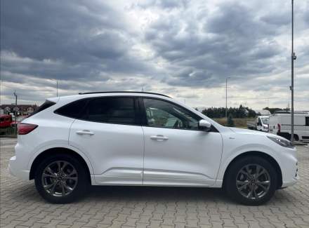Ford - Kuga