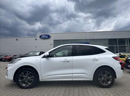 Ford - Kuga