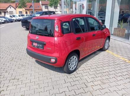 Fiat - Panda
