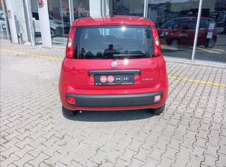 Fiat - Panda