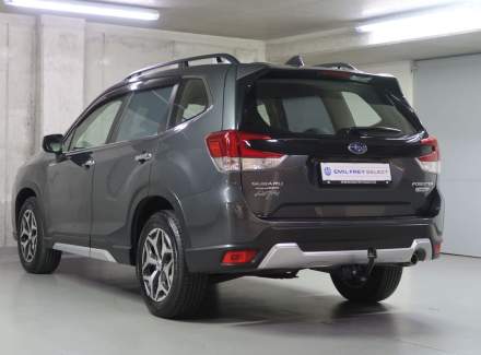 Subaru - Forester
