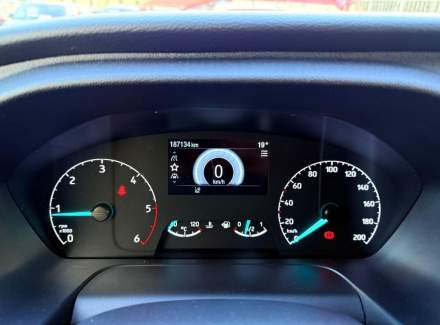 Ford - Tourneo Custom