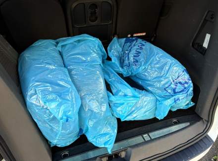 Ford - Tourneo Custom