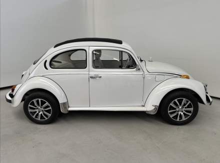 Volkswagen - Beetle