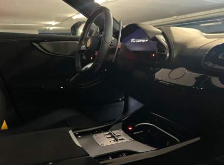 Ferrari - Purosangue