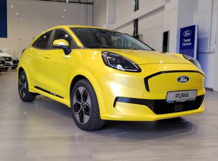 Ford - Puma
