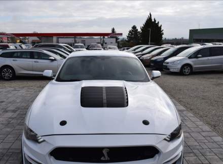 Ford - Mustang