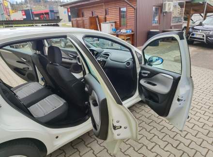 Fiat - Punto