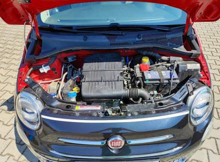 Fiat - 500