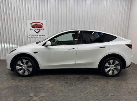 Tesla - Model Y
