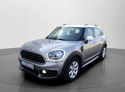 Mini - Countryman