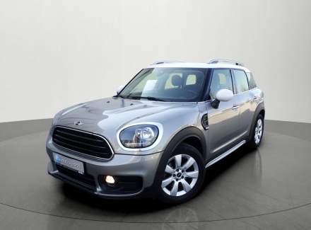 Mini - Countryman