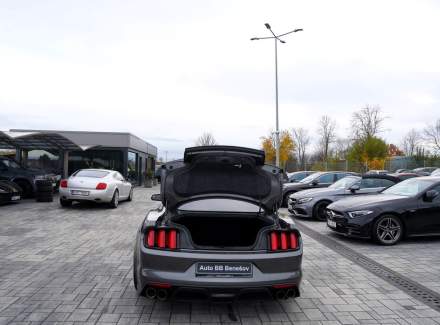 Ford - Mustang