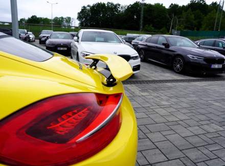 Porsche - Cayman