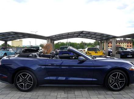 Ford - Mustang