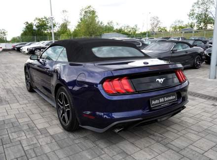 Ford - Mustang