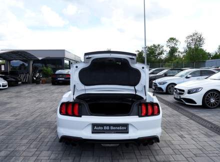 Ford - Mustang