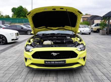 Ford - Mustang