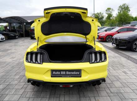 Ford - Mustang