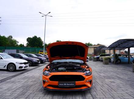 Ford - Mustang