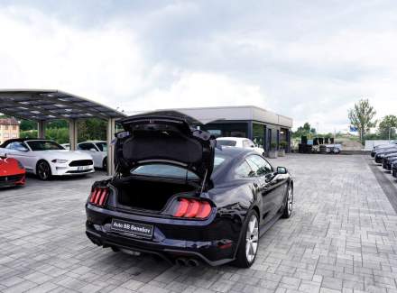 Ford - Mustang