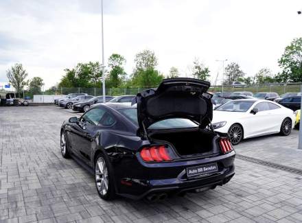 Ford - Mustang