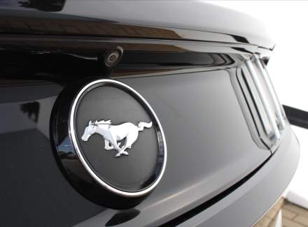 Ford - Mustang