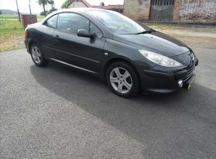 Peugeot - 307