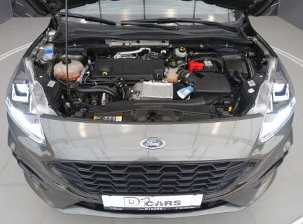 Ford - Kuga