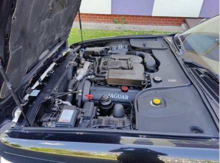 Jaguar - XJR