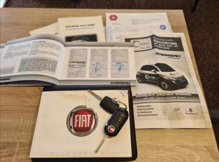 Fiat - 500