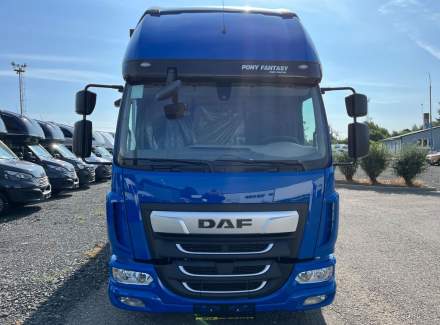 DAF - Ostatní