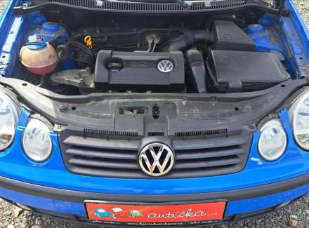 Volkswagen - Polo