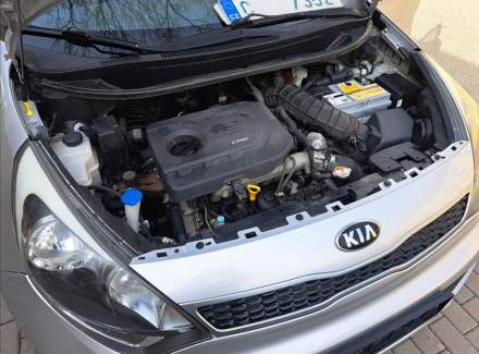 Kia - Rio