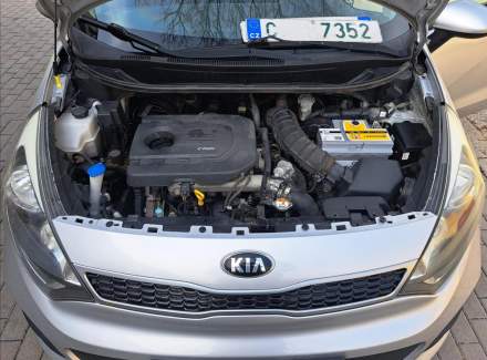 Kia - Rio