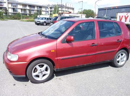 Volkswagen - Polo