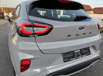 Ford - Puma