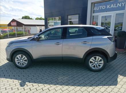 Peugeot - 3008