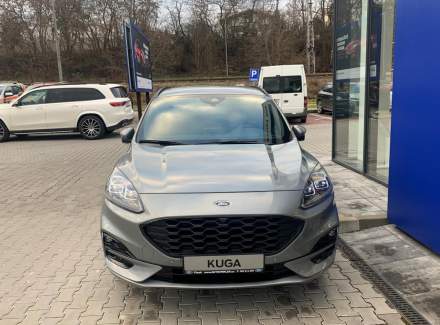 Ford - Kuga