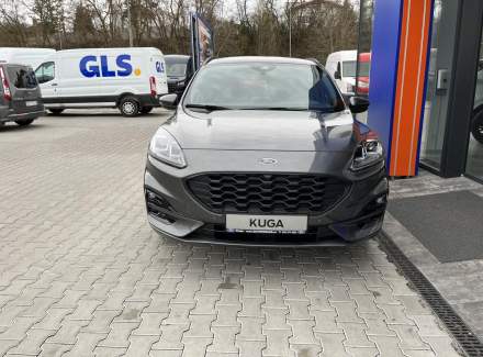 Ford - Kuga