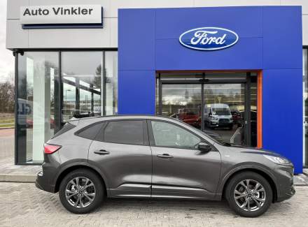 Ford - Kuga