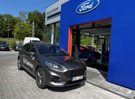 Ford - Kuga